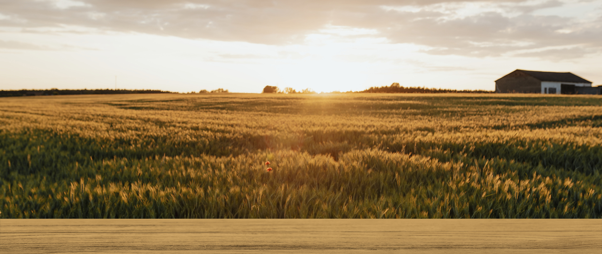 Doğanın Kalbinden Sofranıza Lezzet Taşıyor.